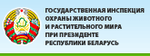 Баннер